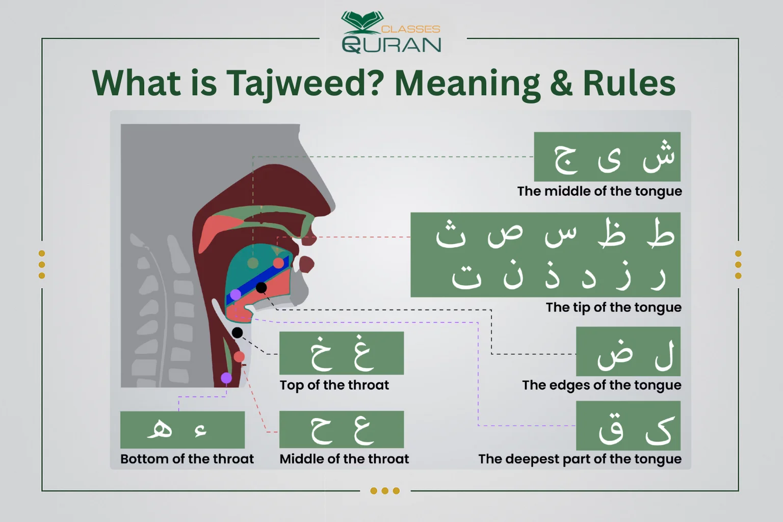 What is Tajweed? Meaning & Rules